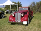 1936 Packard Coupe Roadster; Photo by Jack Curtright (20110918 0767)